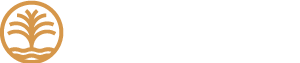 Anima Tours